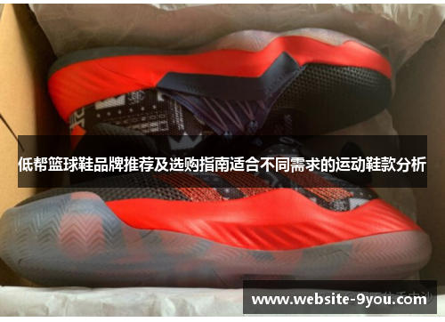 低帮篮球鞋品牌推荐及选购指南适合不同需求的运动鞋款分析