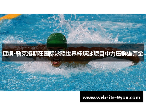 查德·勒克洛斯在国际泳联世界杯蝶泳项目中力压群雄夺金
